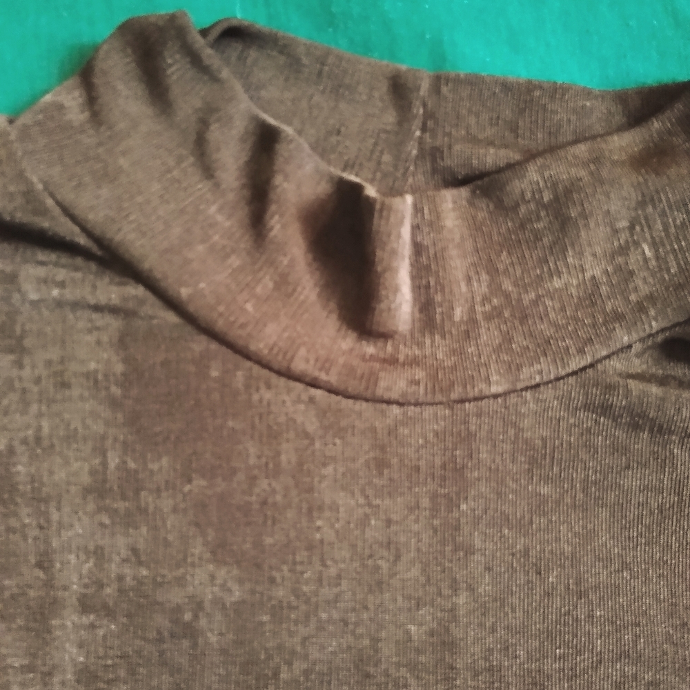 Brown shinny fabric turtleneck size 3X.